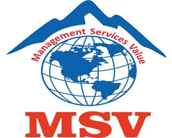 Client: MSV International INC